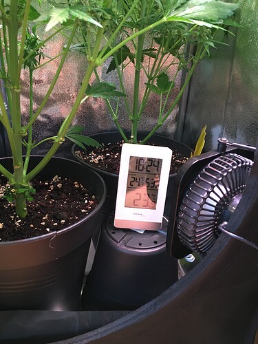 Growreport Bild 2