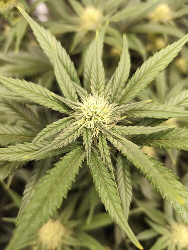 Growreport Bild 10