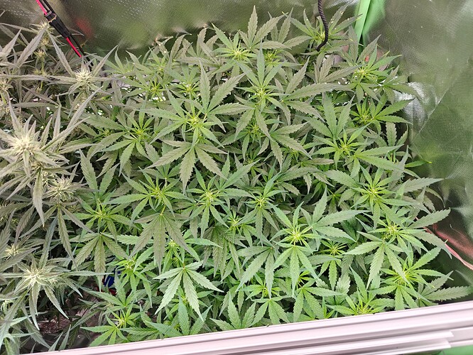Growreport Bild 13