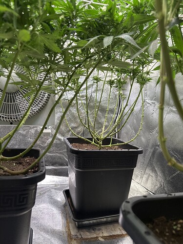 Growreport Bild 50