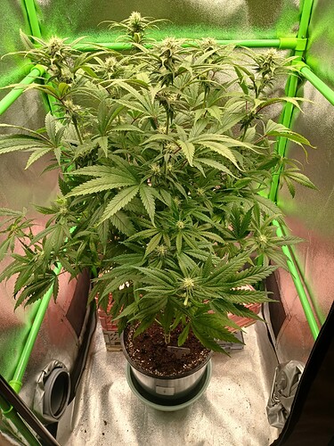 Growreport Bild 11