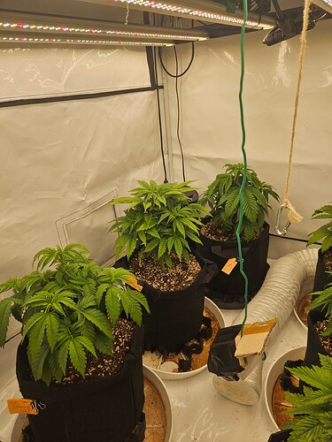 Growreport Bild 18