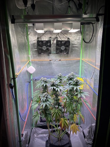 Growreport Bild 2