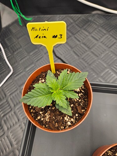 Growreport Bild 16