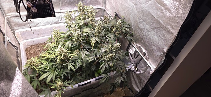 Growreport Bild 8