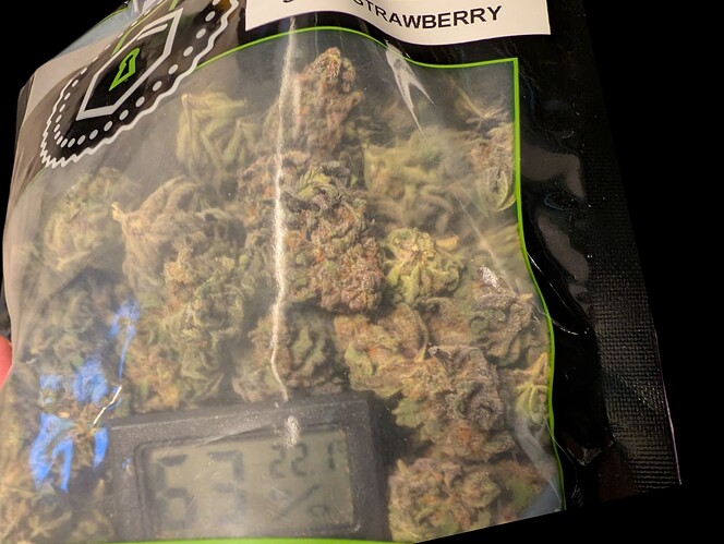 Growreport Bild 10