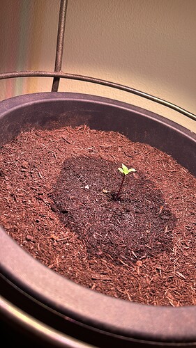 Growreport Bild 1