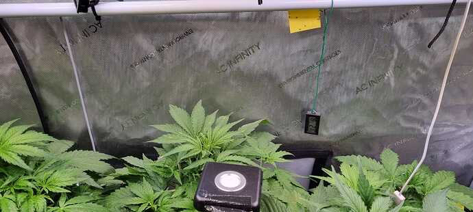 WhatsApp Image 2025-12-14 at 11.04.15 (1)