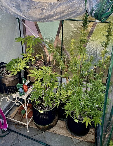 Growreport Bild 1