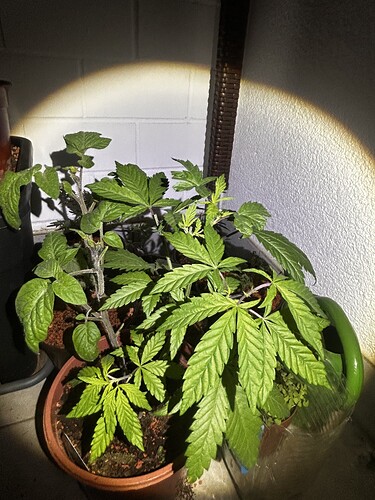 Growreport Bild 43