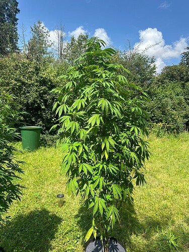 Growreport Bild 22