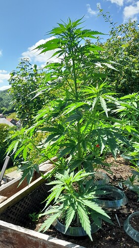 Growreport Bild 14