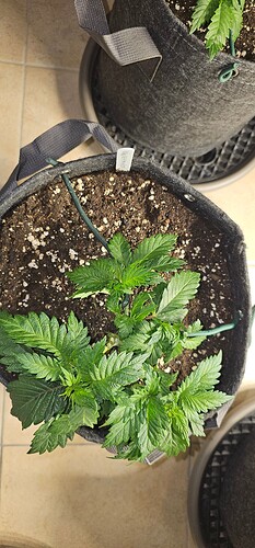 Growreport Bild 5