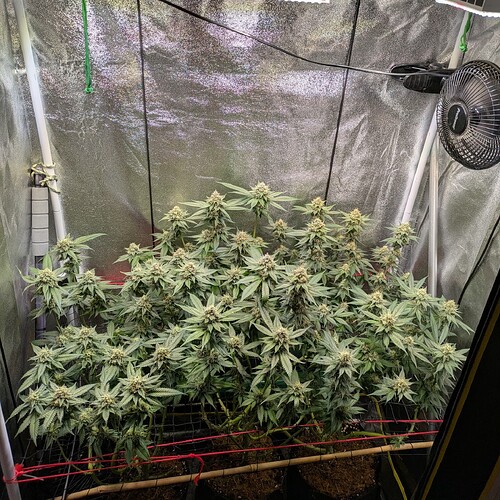 Growreport Bild 16