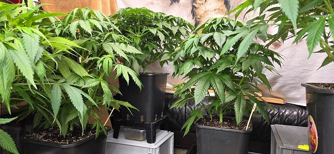 Growreport Bild 34