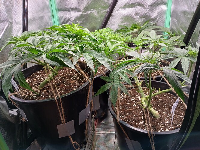 Growreport Bild 18