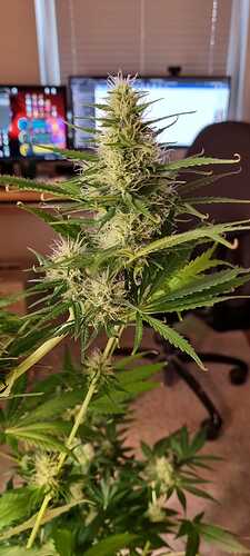 Growreport Bild 13