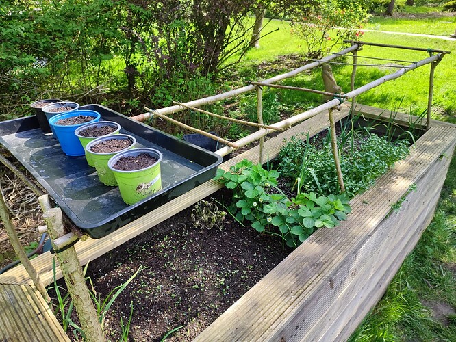 Growreport Bild 2