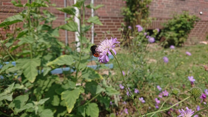 Growreport Bild 39