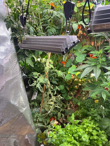 Growreport Bild 4