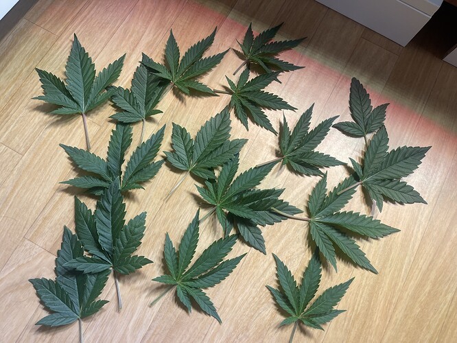 Growreport Bild 4