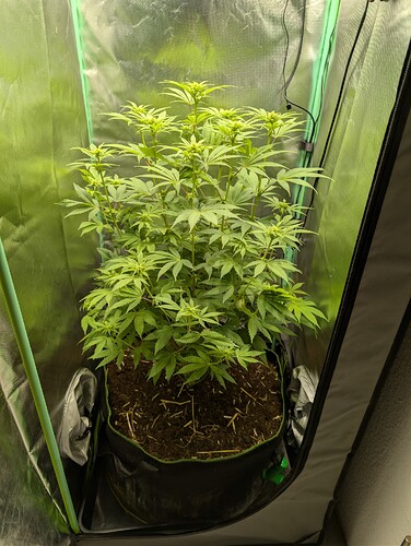 Growreport Bild 1