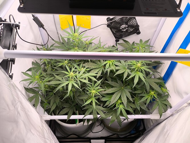 Growreport Bild 1
