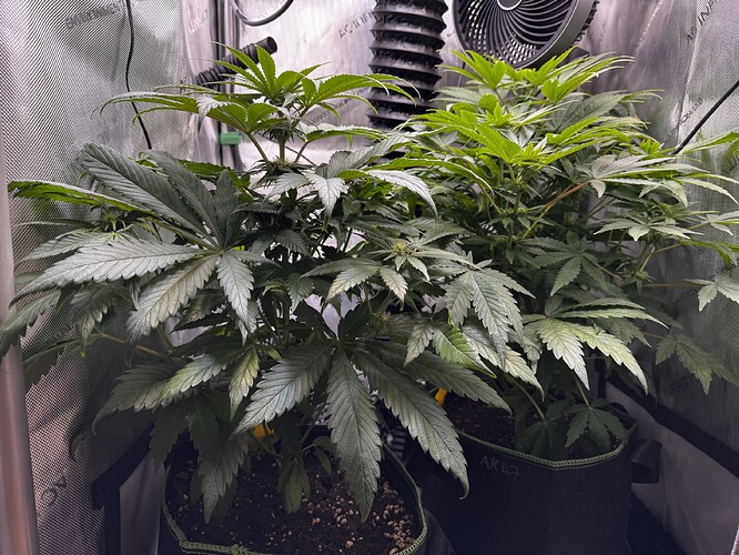 Growreport Bild 4