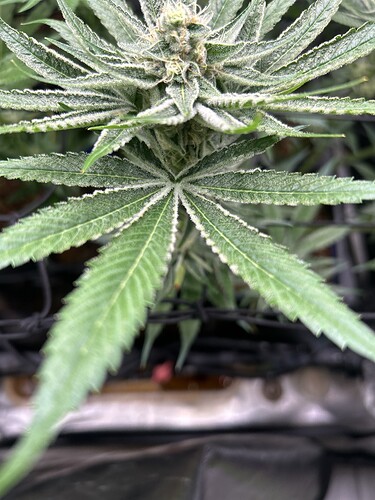 Growreport Bild 17