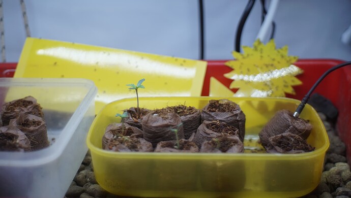 Growreport Bild 14