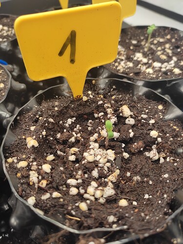 Growreport Bild 18