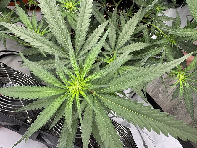 Growreport Bild 4