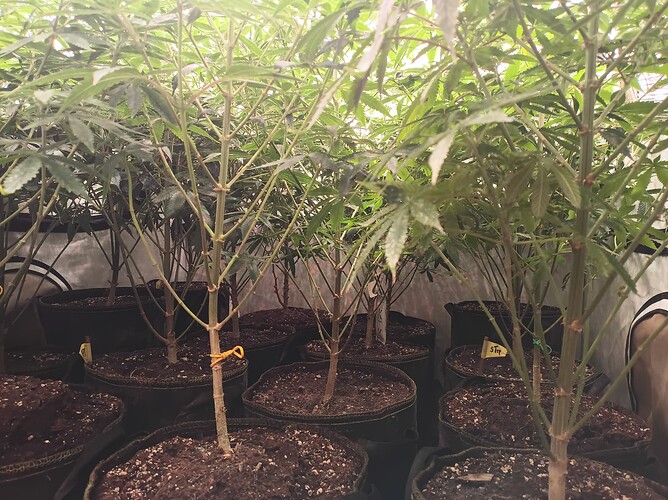 Growreport Bild 3