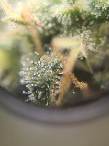 Growreport Bild 21