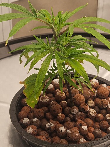 Growreport Bild 6