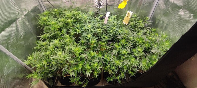 Growreport Bild 16