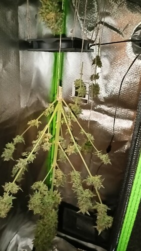 Growreport Bild 14