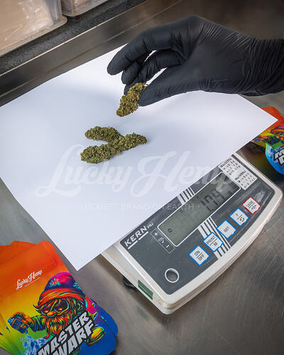 CBD Blüten