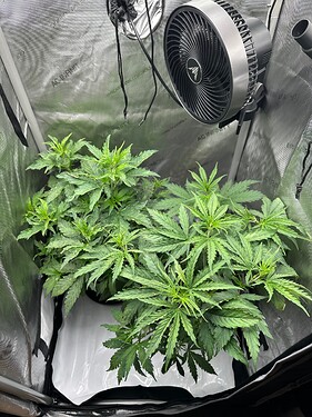 Growreport Bild 14
