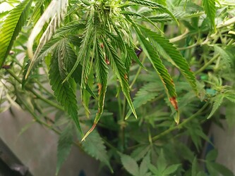 Growreport Bild 22
