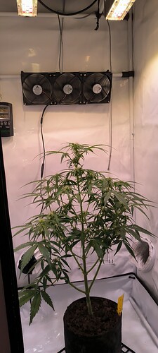 Growreport Bild 2