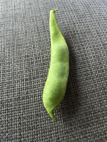 Growreport Bild 50
