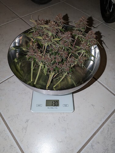 Growreport Bild 13