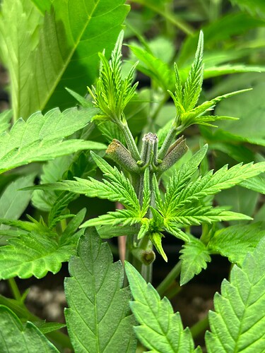 Growreport Bild 22