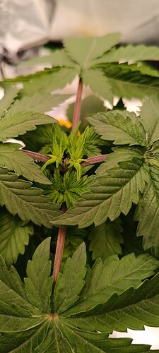 Growreport Bild 5