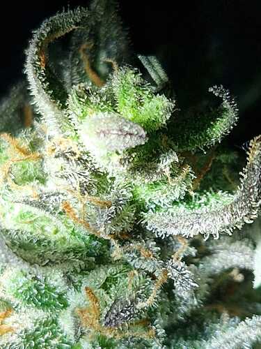 WhatsApp Image 2024-06-26 at 21.58.08 (2)