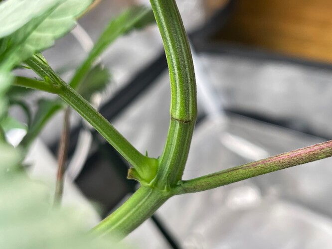Growreport Bild 19