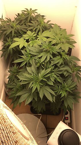 Growreport Bild 9