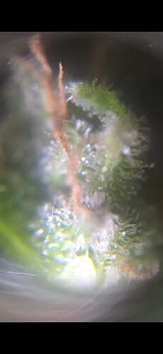 Growreport Bild 6