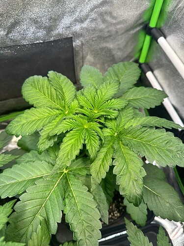 Growreport Bild 14